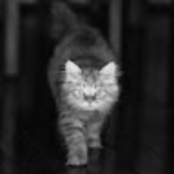 Meet your Posher, Ar - Picture 1 of 1